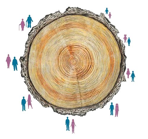 A community circle, generations of residents arranged around the rings of a Tree of Life