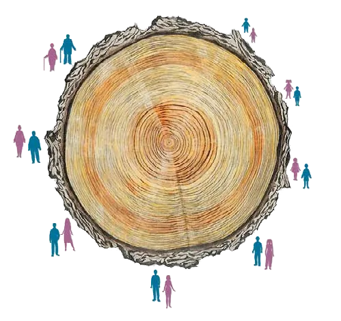 A community circle, generations of residents arranged around the rings of a Tree of Life